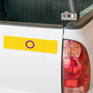 Intersex Pride Flag Bumpersticker