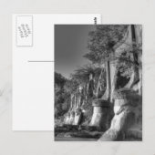 Interstedelijke brug briefkaart (Voorkant / Achterkant)