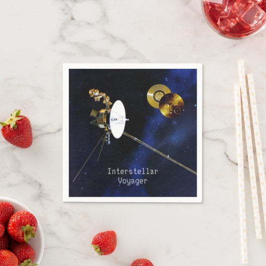 Interstellar Voyager Spacecraft Servet (Insitu)