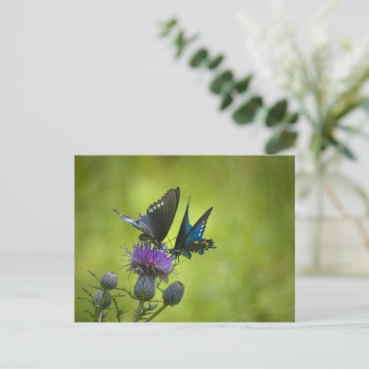 Intertwind Briefkaart (Staand voorkant)