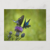 Intertwind Briefkaart (Voorkant)