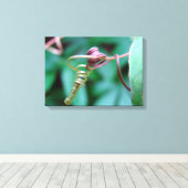 Intertwingwijn Canvas Afdruk (Insitu (Houten vloer))