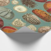 Intestina et Mollusca Linnaei Cadeaupapier (Hoek)