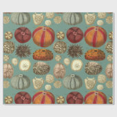 Intestina et Mollusca Linnaei Cadeaupapier (Vlak)