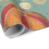 Intestina et Mollusca Linnaei Cadeaupapier (Rol Hoek)