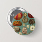 Intestina et Mollusca Linnaei Ronde Button 5,7 Cm (Voorkant /achterkant)