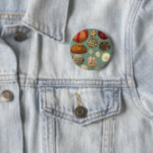 Intestina et Mollusca Linnaei Ronde Button 5,7 Cm (In situ)