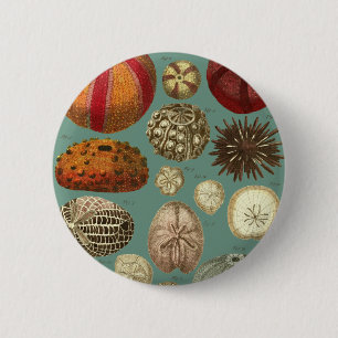 Intestina et Mollusca Linnaei Ronde Button 5,7 Cm