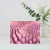 Intestinale Villi 2 Briefkaart (Staand voorkant)