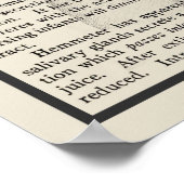 Intestines Anatomie Kunst Afdrukken #8 Medisch Dec Poster (Hoek)