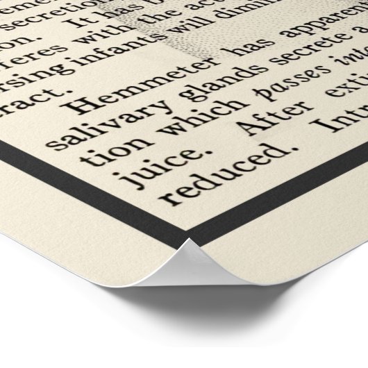 Intestines Anatomie Kunst Afdrukken #8 Medisch Dec Poster (Hoek)