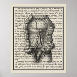 Intestines Anatomie Kunst Afdrukken #8 Medisch Dec Poster