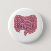 Intestines Gastro-intestinaal Humaan spijsverterin Ronde Button 5,7 Cm (Voorkant)