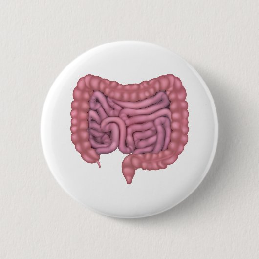 Intestines Gastro-intestinaal Humaan spijsverterin Ronde Button 5,7 Cm (Voorkant)