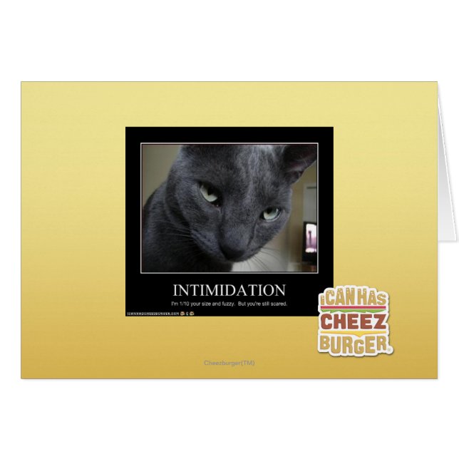 Intimidatie (Voorkant Horizontaal)
