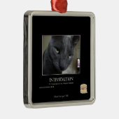 Intimidatie Metalen Ornament (Rechts)