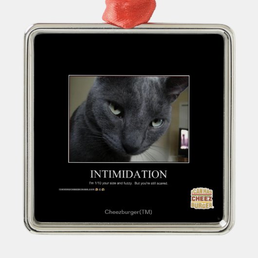 Intimidatie Metalen Ornament (Voorkant)