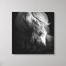 Into the Light - Dartmoor Pony, beeldende kunst