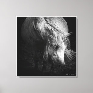 Into the Light - Dartmoor Pony, beeldende kunst Canvas Afdruk