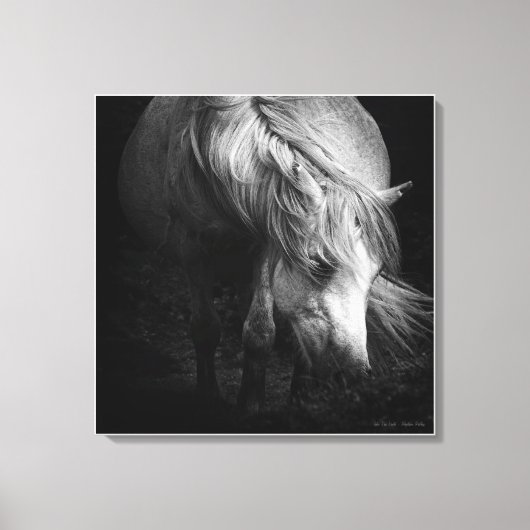 Into the Light - Dartmoor Pony, beeldende kunst Canvas Afdruk (Voorkant)