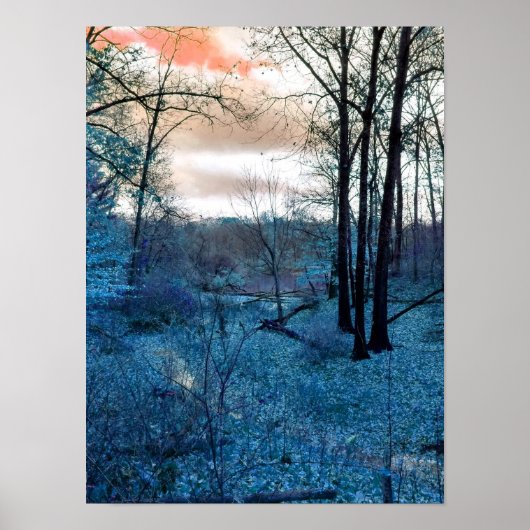 Into The Woods Poster (Voorkant)