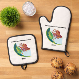 Intracellulair housecleanine in endomembraan ovenwant & pannenlap set