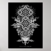 INTRAKiZI-Poster Poster (Voorkant)