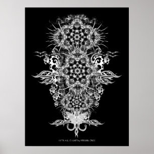 INTRAKiZI-Poster Poster