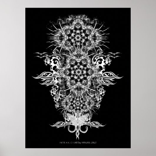 INTRAKiZI-Poster Poster (Voorkant)