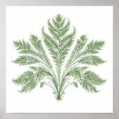 Intricate Botanical Symmetry: Fractal Flora Poster (Voorkant)