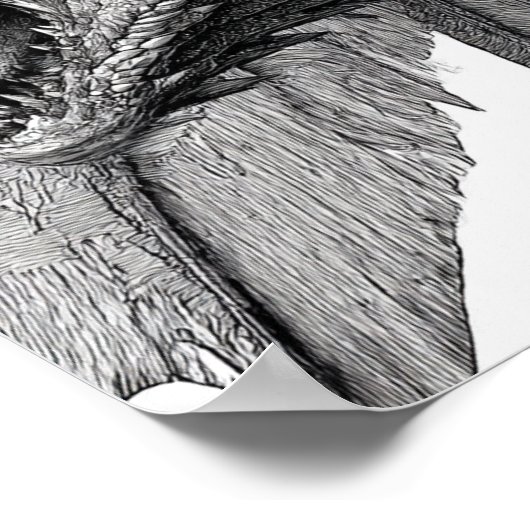 Intricate Fantasy Illustration: Detailed Dragon Poster (Hoek)