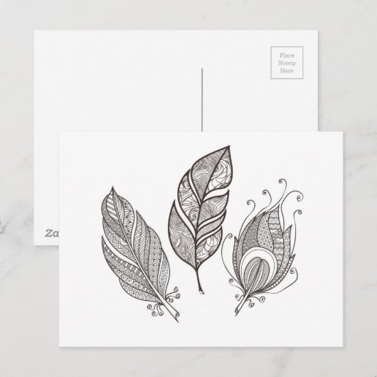 Intriciteit damestuel briefkaart (Voorkant / Achterkant)