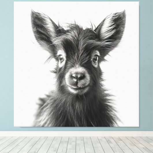 Intrigerende Monochromatische Harmonieuze Baby Gei Canvas Afdruk (Insitu (Houten vloer))