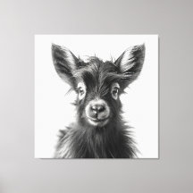 Intrigerende Monochromatische Harmonieuze Baby Gei