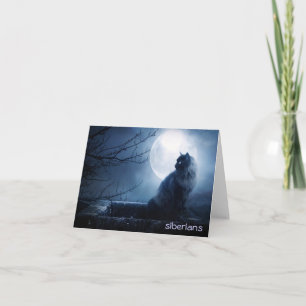 Intrigerende Siberische Kat bij Nacht Kaart