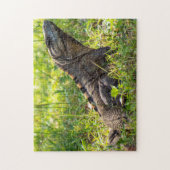Intrigued Iguana Legpuzzel (Verticaal)
