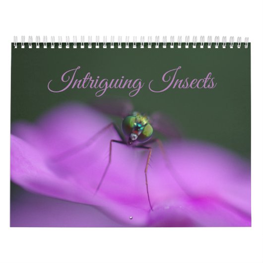 Intriguing Insects Calendar Kalender (Hoes)