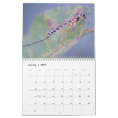 Intriguing Insects Calendar Kalender (Jan 2027)