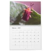 Intriguing Insects Calendar Kalender (Feb 2027)
