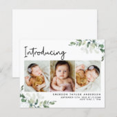 Introductie van de foto Eucalyptus Birth Announcem (Voorkant / Achterkant)