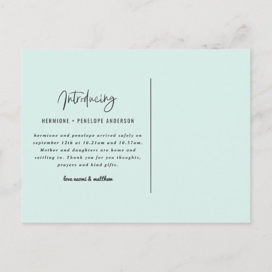 Introductie van de tweelingaankondiging uitnodiging briefkaart (Achterkant)