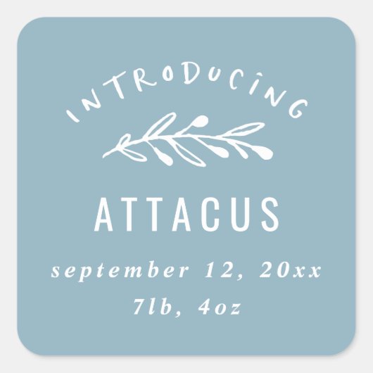 Introductie van geboortekaartjes voor filialen vierkante sticker (Voorkant)