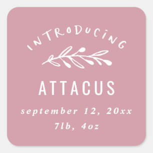 Introductie van geboortekaartjes voor filialen vierkante sticker