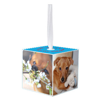 Introductie van nieuwe familieleden decoratie