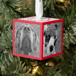 Introductie van nieuwe familieleden decoratie
