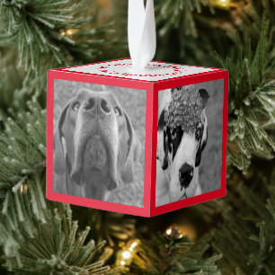 Introductie van nieuwe familieleden decoratie