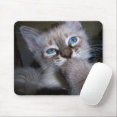 Introspectief Thinker Blue-Eyed Kitten Mousepad Muismat (Met muis)