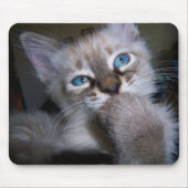 Introspectief Thinker Blue-Eyed Kitten Mousepad Muismat (Voorkant)