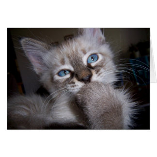 Introspectieve Thinker