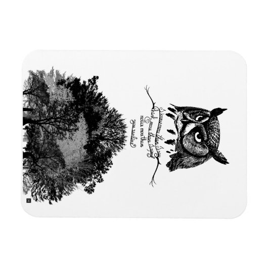 Introvert uil wijsheid geïllustreerd inkt citaat magneet (Horizontaal)